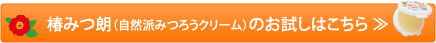 椿みつ朗（自然派みつろうクリーム）のお試しはこちら ≫